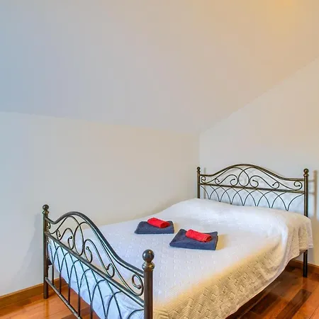 فيلة Kos مورتير